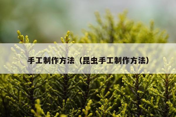 手工制作方法（昆虫手工制作方法）
