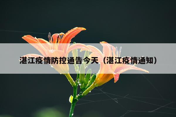 湛江疫情防控通告今天(湛江疫情通知)