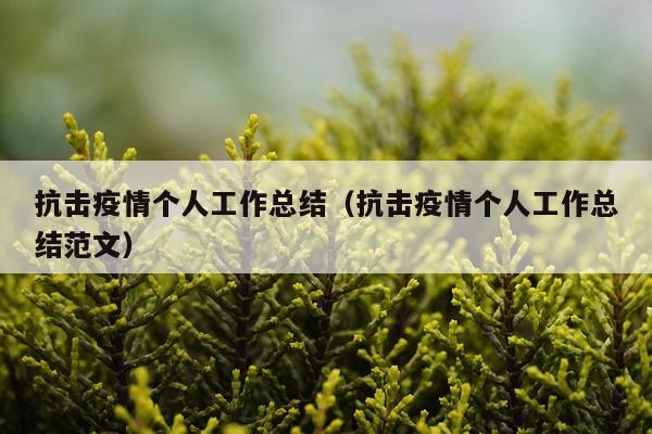 抗击疫情个人工作总结（抗击疫情个人工作总结范文）