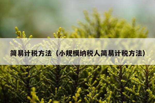 简易计税方法(小规模纳税人简易计税方法)