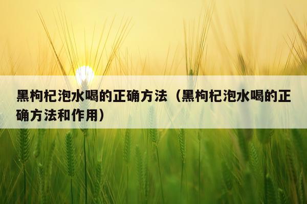 黑枸杞泡水喝的正确方法(黑枸杞泡水喝的正确方法和作用)
