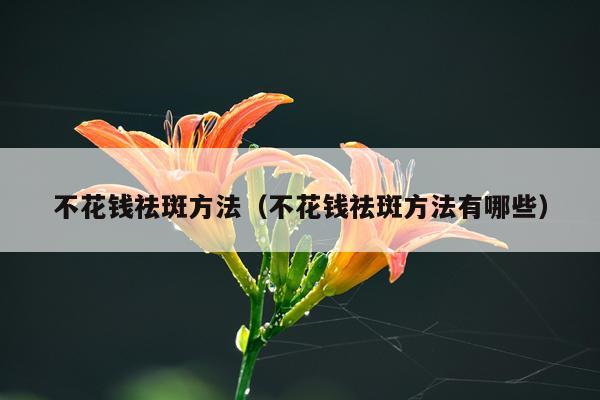 不花钱祛斑方法(不花钱祛斑方法有哪些)