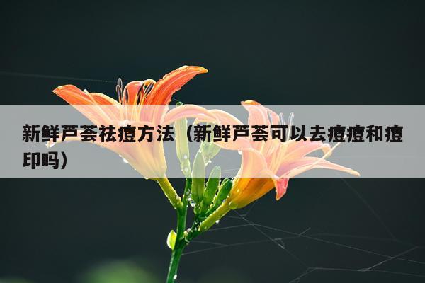 新鲜芦荟祛痘方法(新鲜芦荟可以去痘痘和痘印吗)