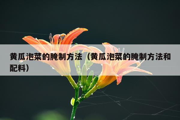 黄瓜泡菜的腌制方法（黄瓜泡菜的腌制方法和配料）