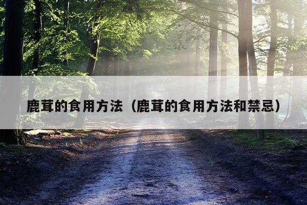 鹿茸的食用方法（鹿茸的食用方法和禁忌）