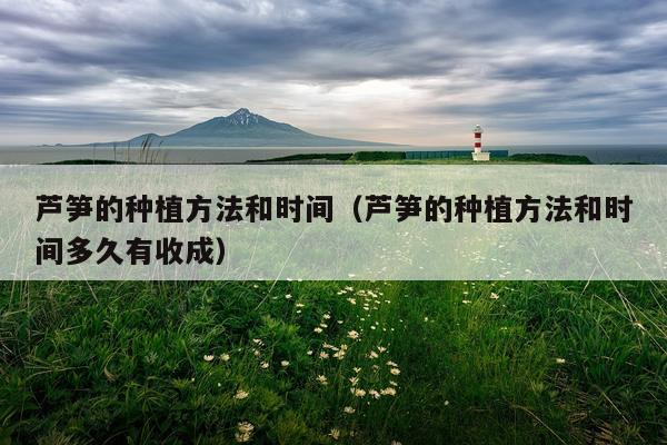 芦笋的种植方法和时间(芦笋的种植方法和时间多久有收成)