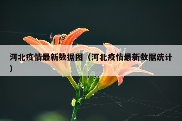 河北疫情最新数据图(河北疫情最新数据统计)