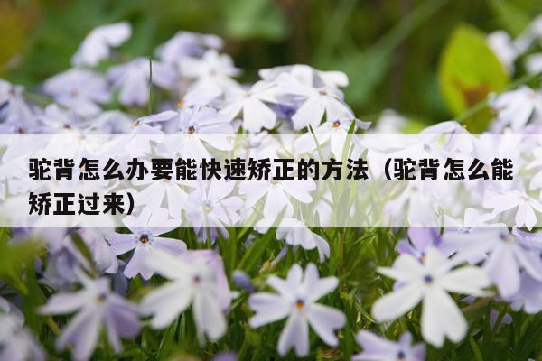 驼背怎么办要能快速矫正的方法（驼背怎么能矫正过来）