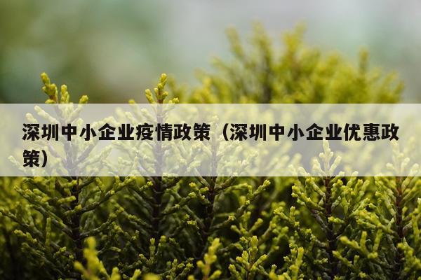 深圳中小企业疫情政策(深圳中小企业优惠政策)