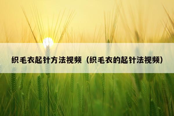 织毛衣起针方法视频(织毛衣的起针法视频)