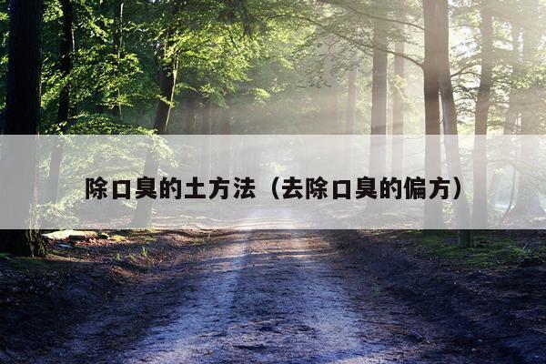 除口臭的土方法(去除口臭的偏方)