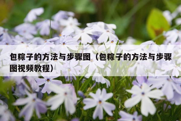 包粽子的方法与步骤图（包粽子的方法与步骤图视频教程）