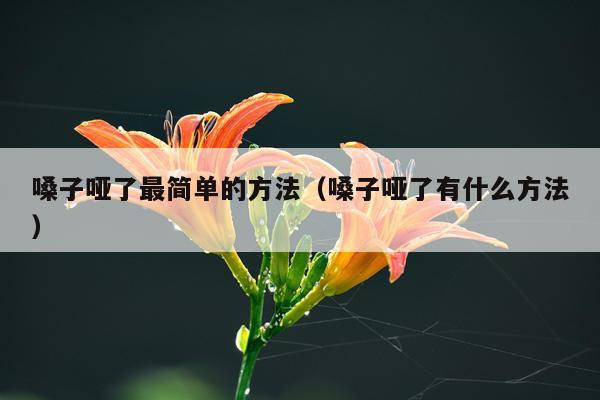 嗓子哑了最简单的方法(嗓子哑了有什么方法)