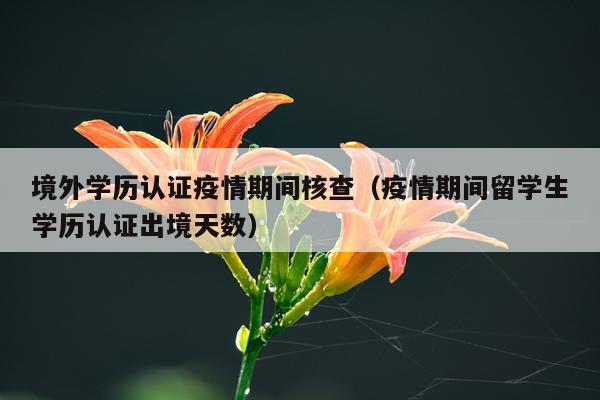 境外学历认证疫情期间核查（疫情期间留学生学历认证出境天数）