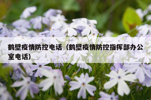 鹤壁疫情防控电话(鹤壁疫情防控指挥部办公室电话)