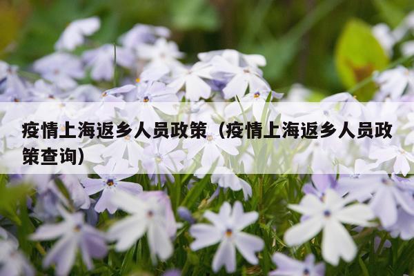 疫情上海返乡人员政策（疫情上海返乡人员政策查询）