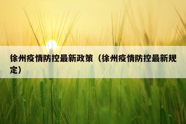 徐州疫情防控最新政策（徐州疫情防控最新规定）