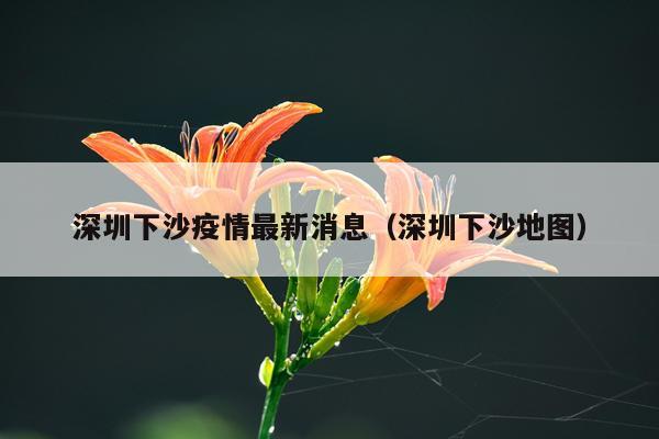 深圳下沙疫情最新消息（深圳下沙地图）