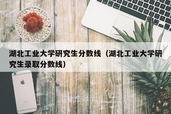 湖北工业大学研究生分数线（湖北工业大学研究生录取分数线）