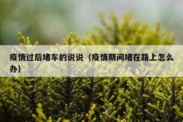 疫情过后堵车的说说(疫情期间堵在路上怎么办)