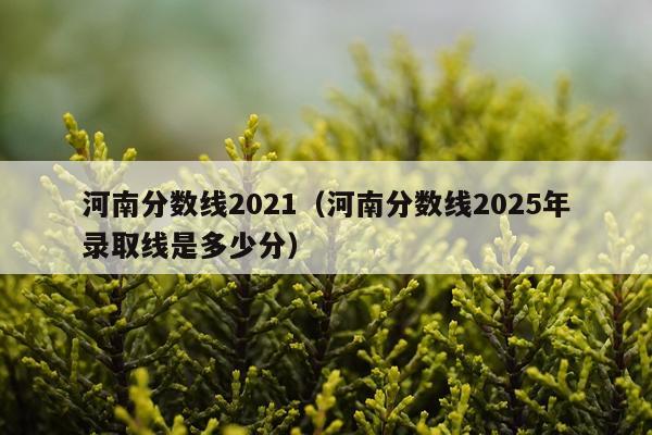 河南分数线2021（河南分数线2025年录取线是多少分）